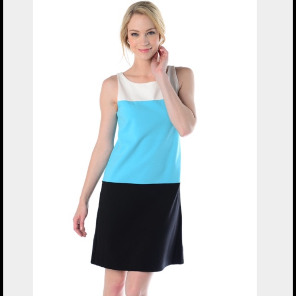 TYLER BÖE Color Blocked Sleeveless "Susie" Dress Size Small